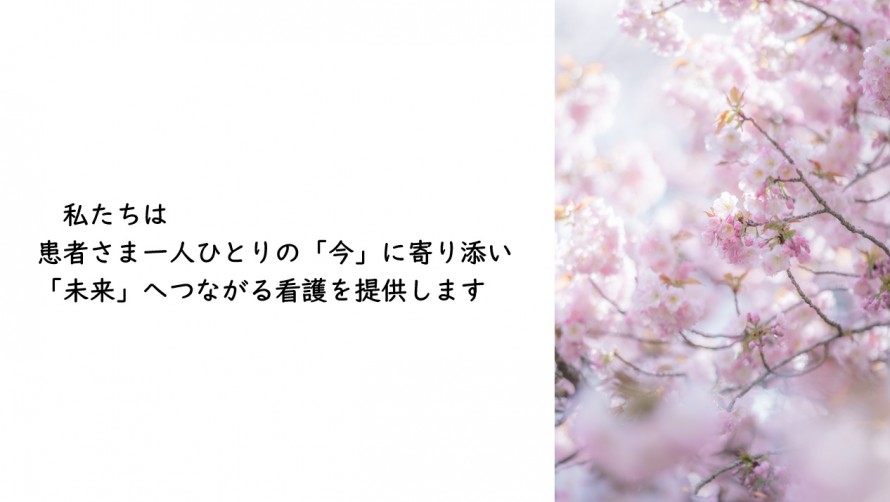 59bed800d06187fee0468d3b02427f561